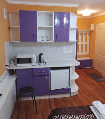 Двухместный номер Студия (вторая) 18 м²  в отеле Турист, Луга - кухня