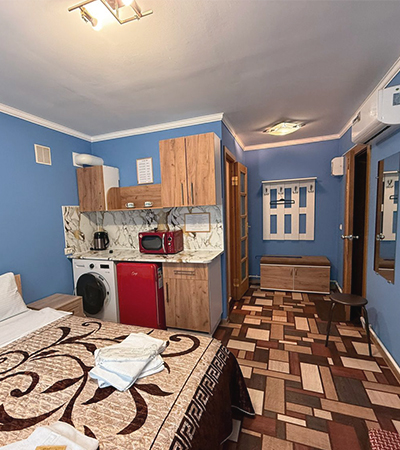 Двухместный номер Студия 18 м²  в отеле Турист, Луга - кухня